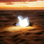 ward20-blog1