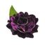 camelliascrafts