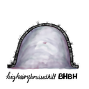 bighairybruisedhill avatar