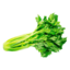 bakedcelery