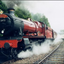 thehogwartsexpress-circusrp