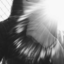 13-deleon-blog
