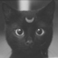 niamcats-blog