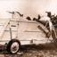 grasshopper810