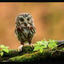 blacklumen104-blog