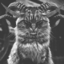 koszmardnia-blog