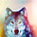 wolveslikeme avatar