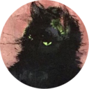 catswort avatar