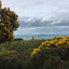 uisneach