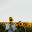 dreams-and-flowers