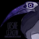 ursinecetacean avatar