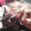 its-princess-whitney
