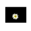 ariasn0w-blog