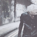Thejapanesealike