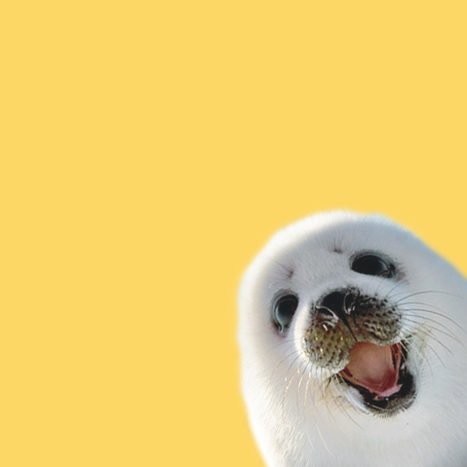 burritoseal:snoozy seal