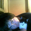 shonyo