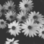its-to-late-to-save-me-from-blog