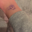evan-maknae-blog