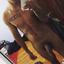 tattednemo5427