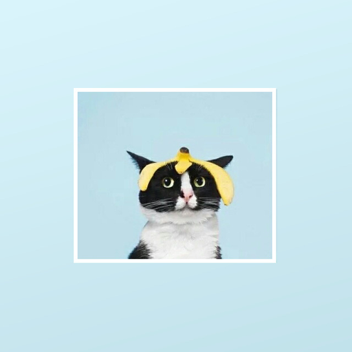 herdier:  hey stunfisk  are u ok stunfisk  are you-  