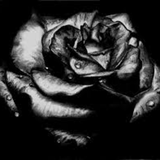 soaringdreamsthings:  Every night I start to cry.  Every night I am unsure if the tears will stop.  Every night I lean against the wall because my legs feel too weak to support my useless body.  Every night I bury my face in my hands,  trying to muffle