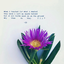 hopefully-devoted