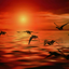 soul-frequencies-blog