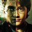 pureblood--slytherin