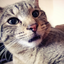 gloria758-blog-blog