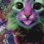 kitty-trippin