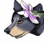 magnolia-bear
