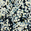 enigmatic-bewilderment-blog
