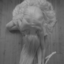 anorexic-kitten-blog