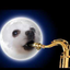 saxylouwho
