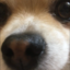gerardwayisbae127