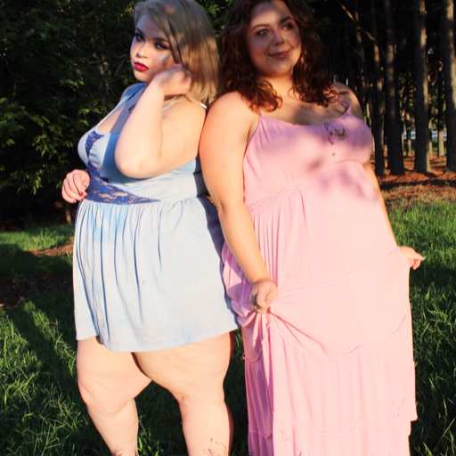 Plus Size Retailers; stop.