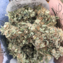 happy-cacti:  spaced-queen:  bong-rips-for-bitchy-chicks:  Slow motion bong rips