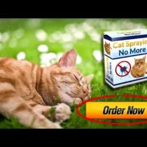 Feline Behavior - Cat Spraying