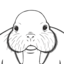 morsual