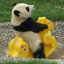 bitchy-pandas-blog