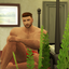 insoillumsims