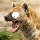 jeenthehyena-blog avatar