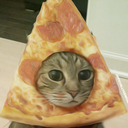 the-pizzacat:  Turn up volume! PIZZACAT HAS RISEN FROM HIS TOMB TO SAVE US ALL!!!! Pizzacat is the truth! 🙏 Niphead420 🍕there is only one pizzacat. #pizza #cat #cats #catsofinstagram #pizzacat  #pugmob #funny #funnymemes  #pizzacats #trippy #meme