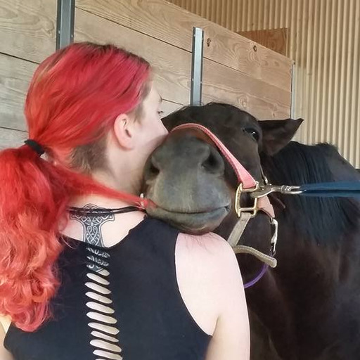 metalheadequestrian:  “You post too may horse pictures.” 