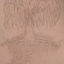 bemywillowtree