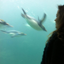 evocative-eloquence:All humans want is to feel as if they belong somewhere, as if