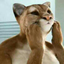 johnny-bigclaws-blog