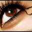 fitandtrue-blog