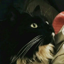 fatsocute:  i need the ppl in my life to be VERY vocal about liking/loving me and