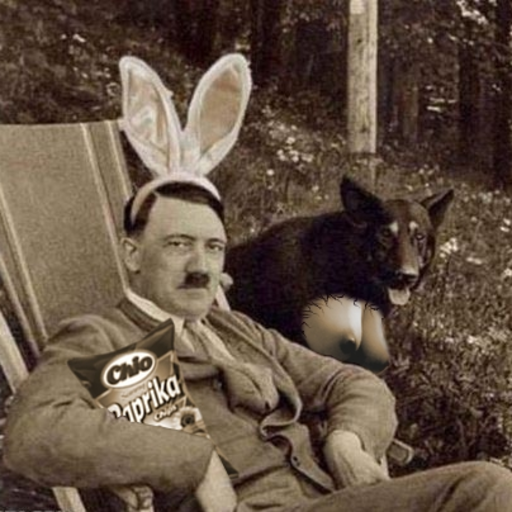 knusprig-titten-hitler:    porn pictures